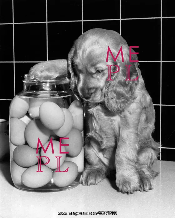  : Susi - with a jar of eggs