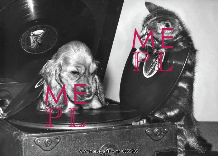  : Susi - with kitten and broken record