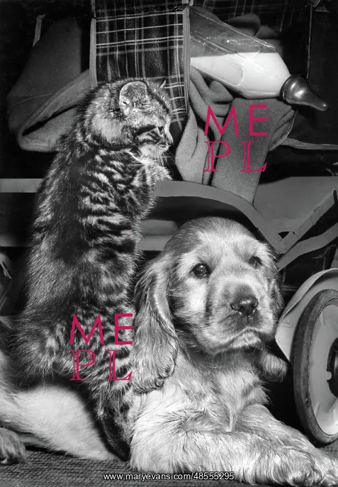  : Susi - with kitten and milk bottle