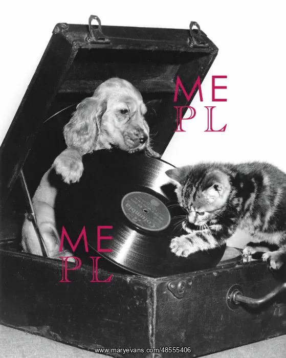 : Susi - with kitten, putting on a record : Susi - with kitten, putting on a record