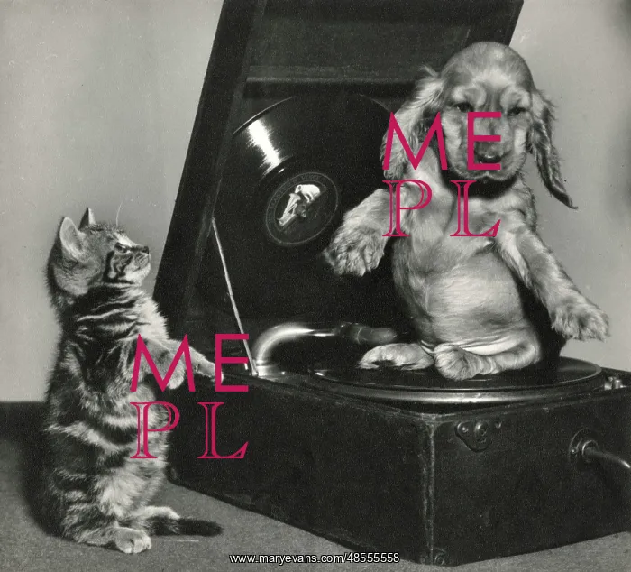  : Susi - with kitten and record player