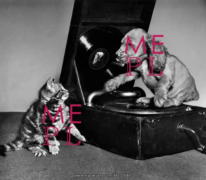  : Susi - with kitten and record player