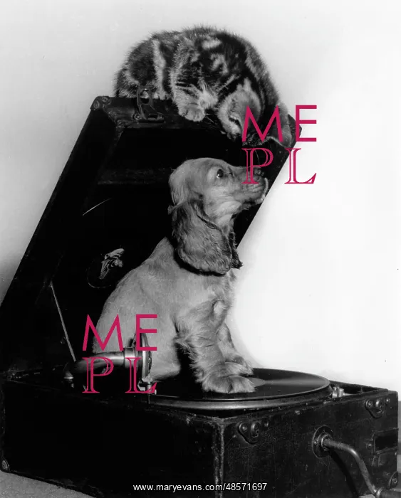  : Susi - with kitten and record player
