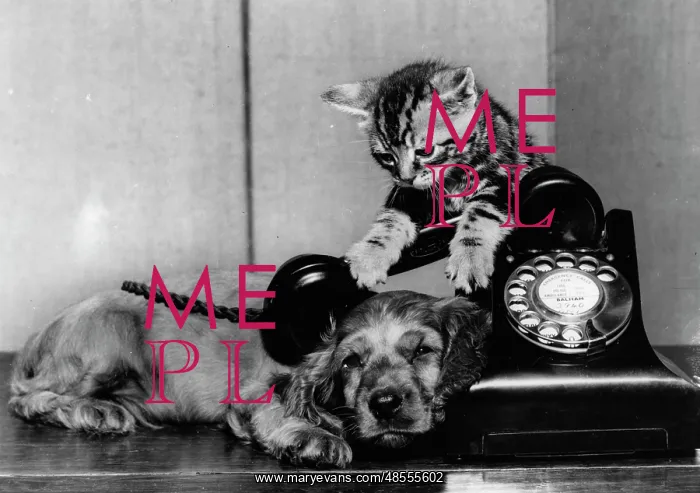  : Susi - with kitten and telephone