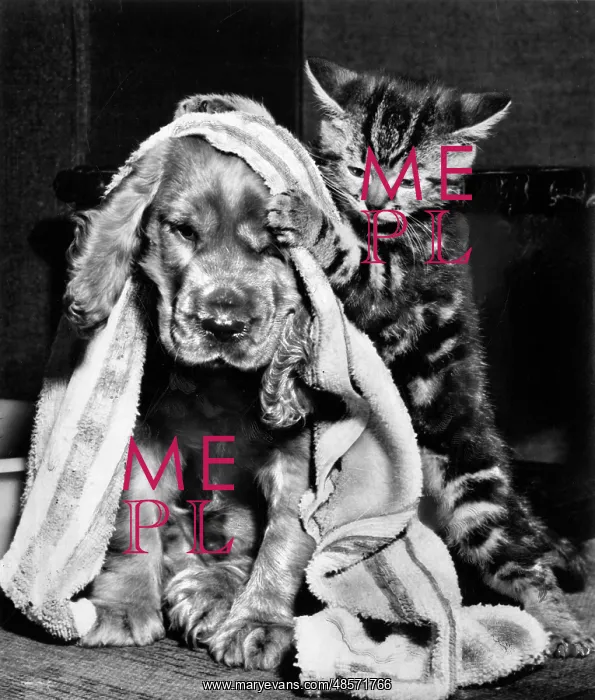 : Susi - with kitten and towel : Susi - with kitten and towel