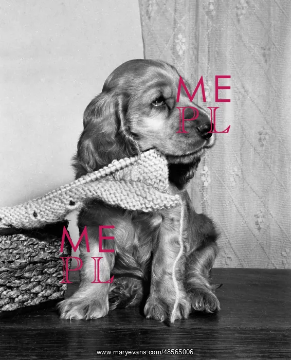  : Susi - with knitting on a needle