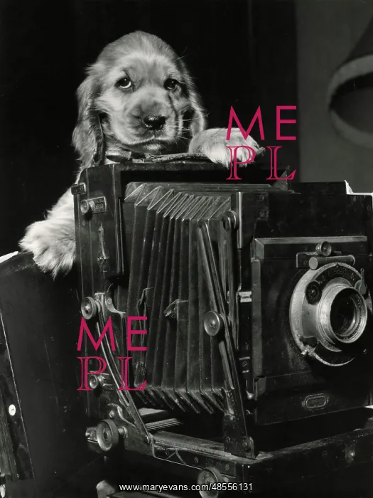  : Susi - with large camera