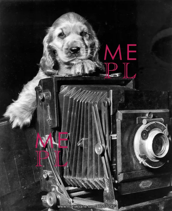  : Susi - with large camera