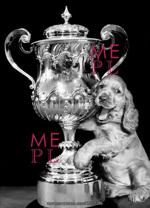 : Susi - with a large trophy : Susi - with a large trophy