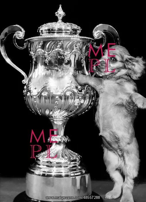 : Susi - with a large trophy : Susi - with a large trophy