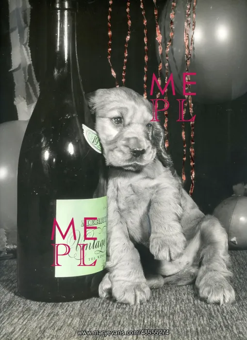 : Susi - leaning against a bottle : Susi - leaning against a bottle
