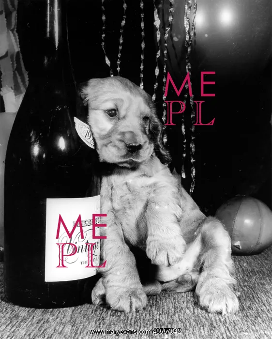  : Susi - leaning against a bottle