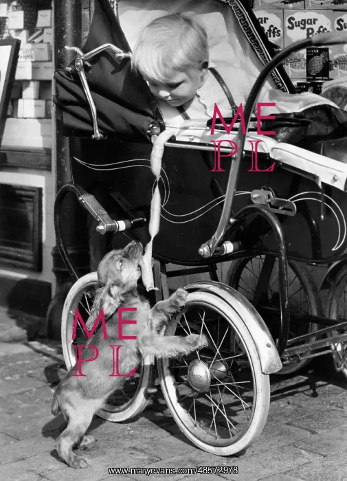  : Susi - looking up at a baby in a pram
