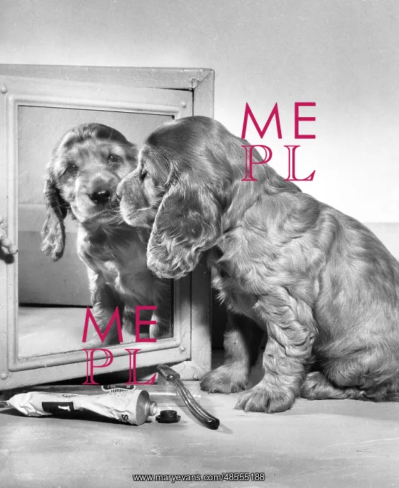 : Susi - looking in the mirror : Susi - looking in the mirror