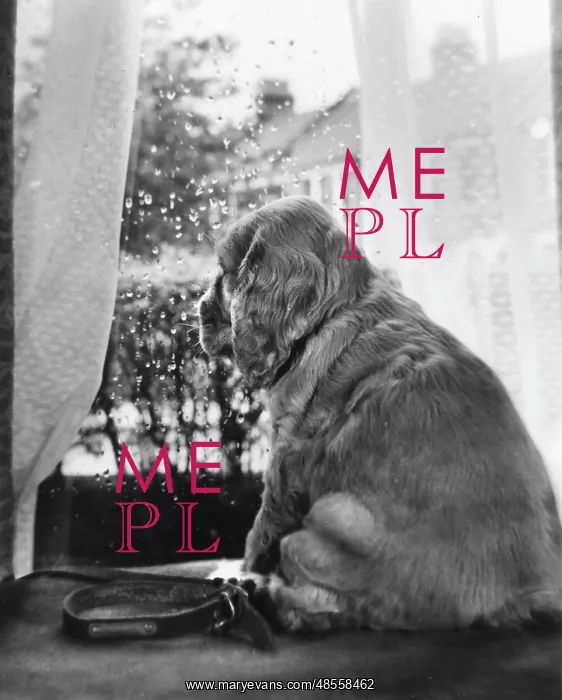 : Susi - looking through a window : Susi - looking through a window
