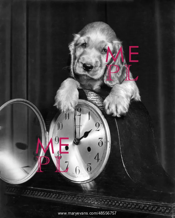  : Susi - with a mantel clock