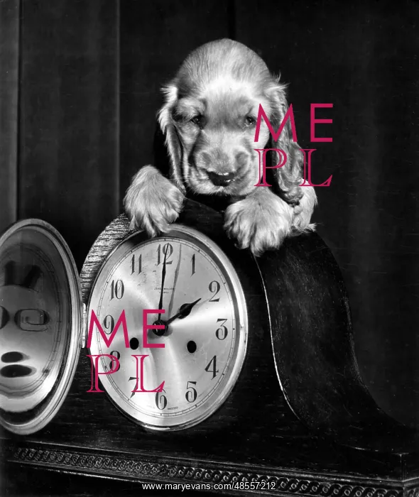  : Susi - with a mantel clock