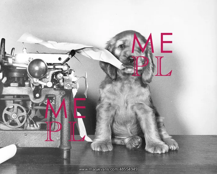 : Susi - with manual typewriter : Susi - with manual typewriter
