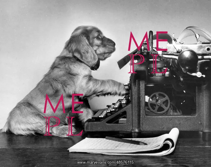 : Susi - with manual typewriter : Susi - with manual typewriter