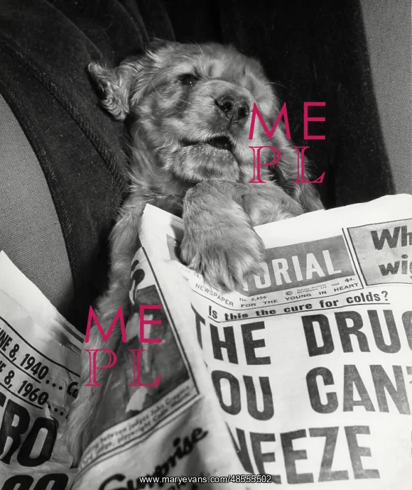 : Susi - with newspaper : Susi - with newspaper