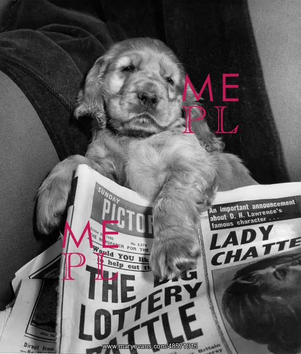 : Susi - with newspaper : Susi - with newspaper