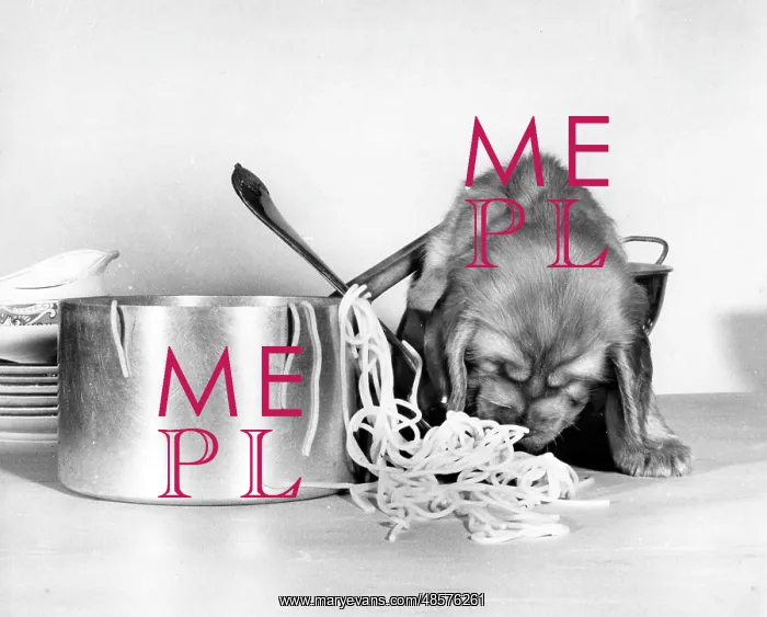  : Susi - with pan of spaghetti