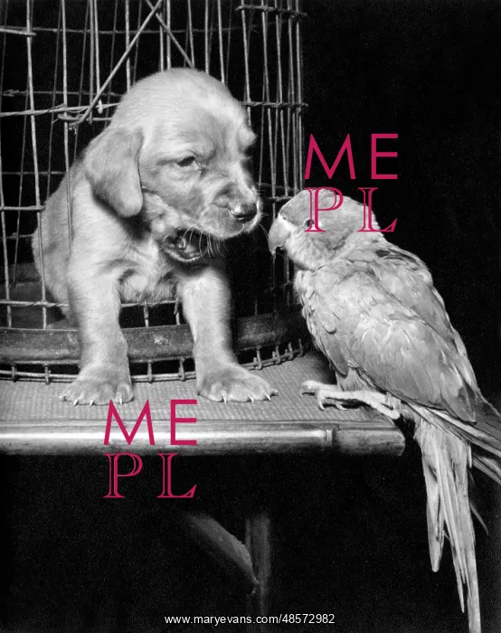  : Susi - with parrot