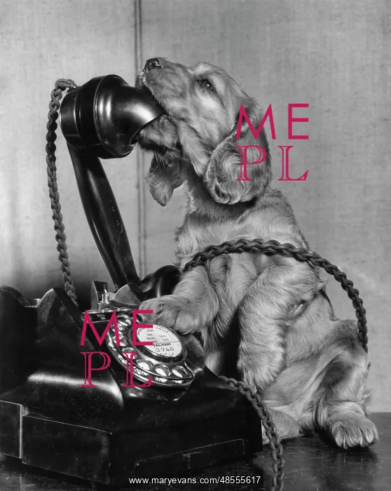  : Susi - on the phone