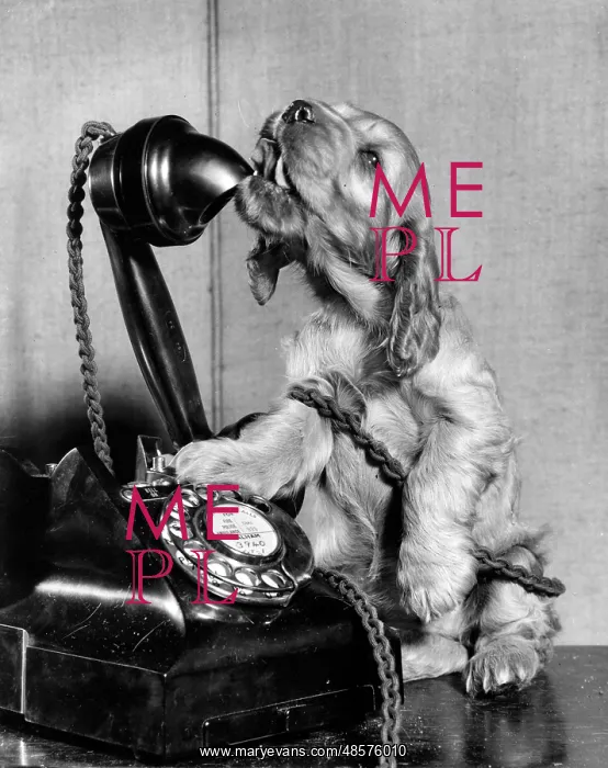  : Susi - on the phone