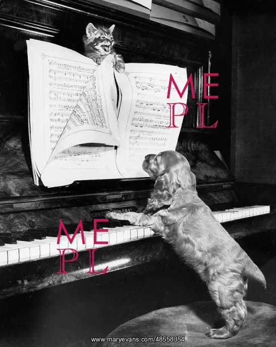  : Susi - piano duet with kitten