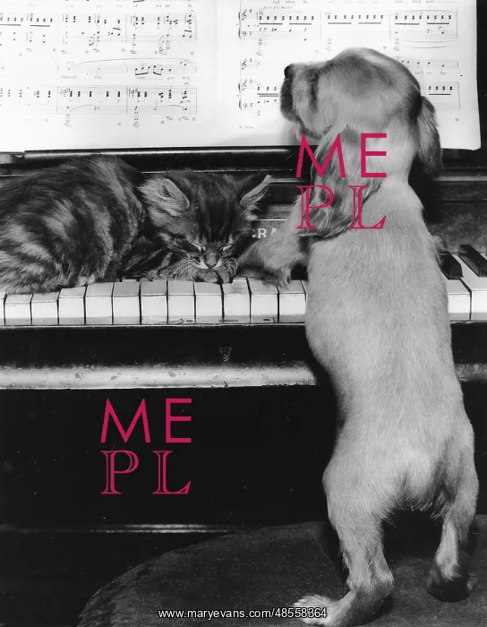  : Susi - piano duet with kitten