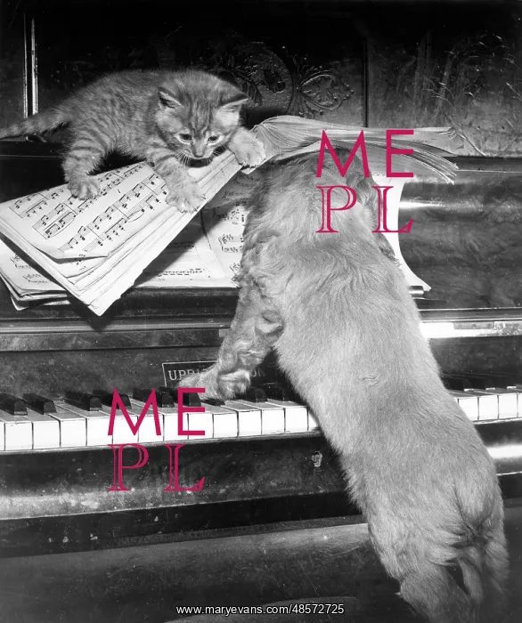  : Susi - piano duet with kitten