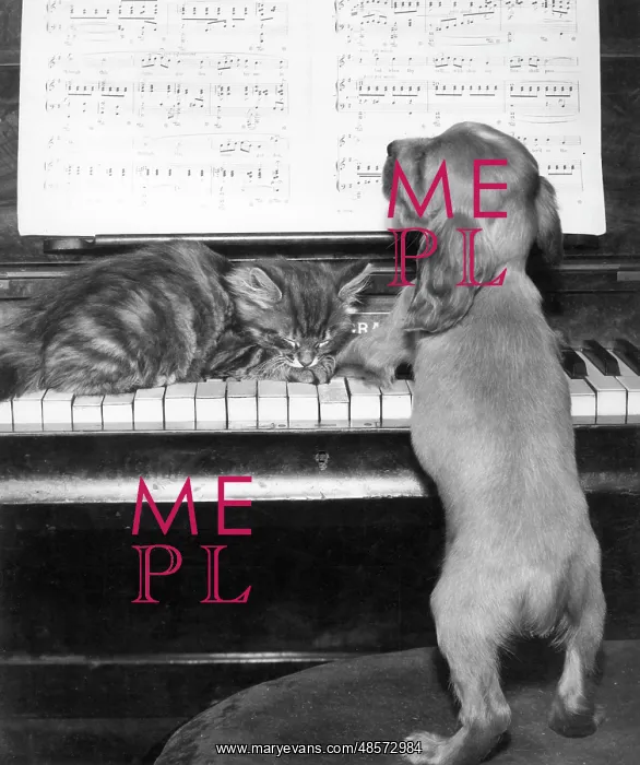  : Susi - piano duet with kitten