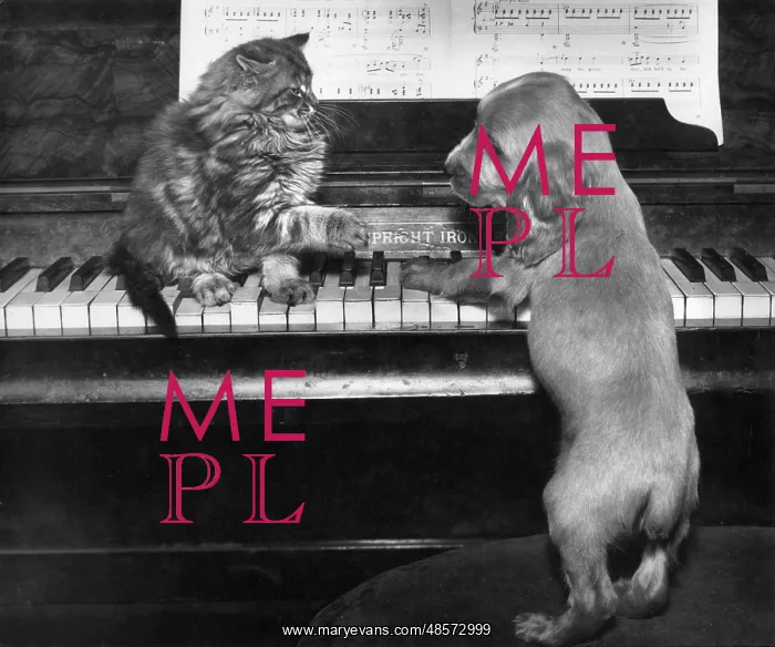 : Susi - piano duet with kitten
