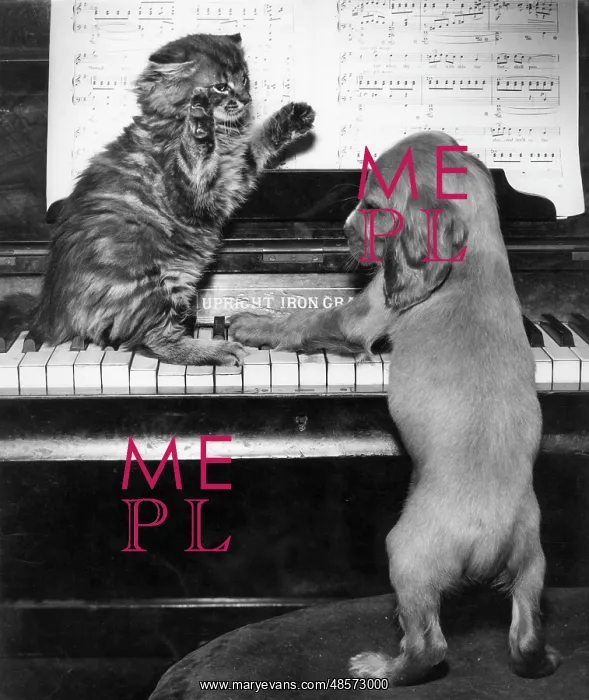  : Susi - piano duet with kitten