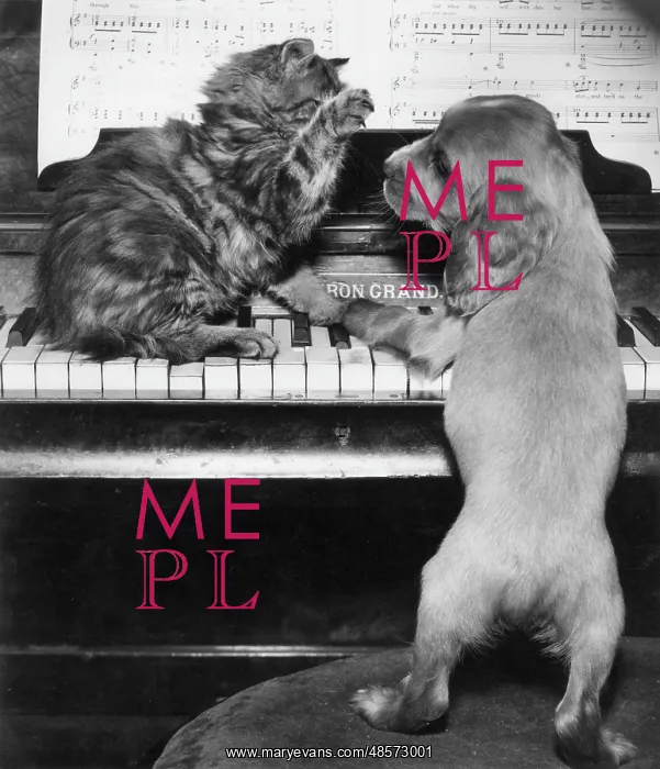  : Susi - piano duet with kitten