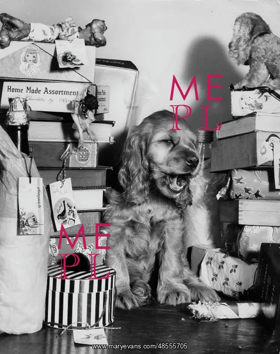 : Susi - with piles of toys and presents : Susi - with piles of toys and presents