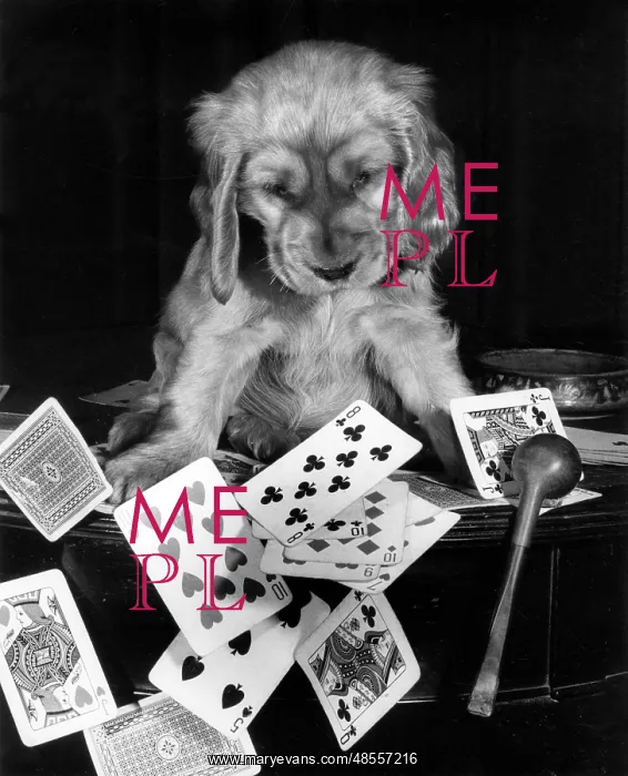  : Susi - with pipe and playing cards