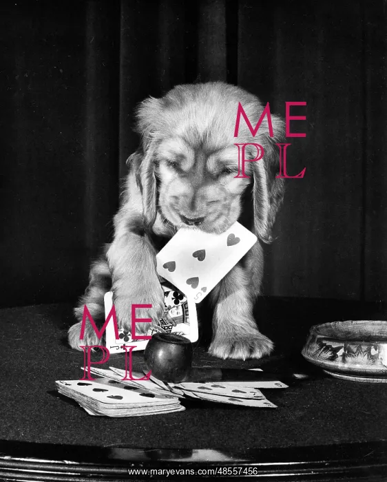  : Susi - with pipe and playing cards