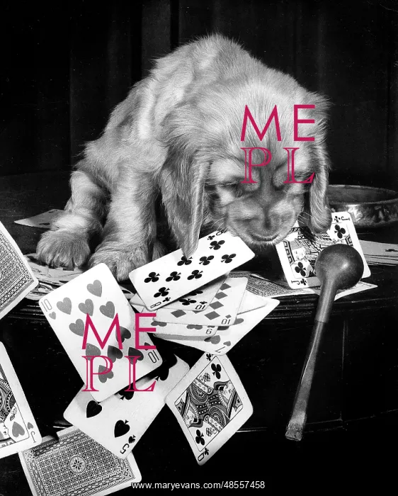  : Susi - with pipe and playing cards