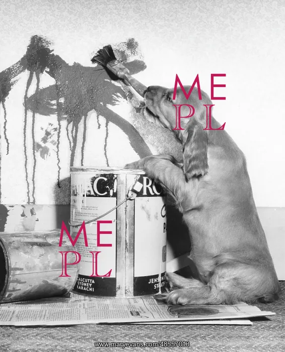  : Susi - playing with paints