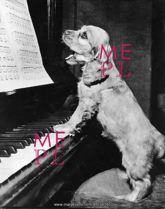  : Susi - playing the piano