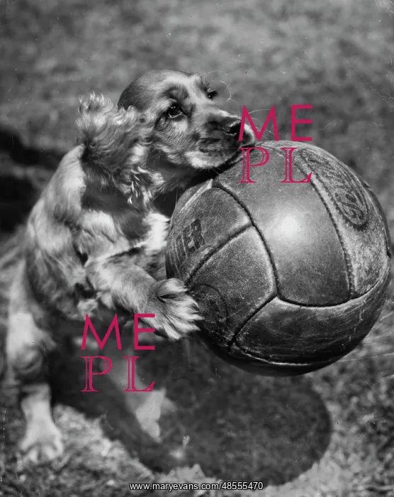  : Susi - posing with a football