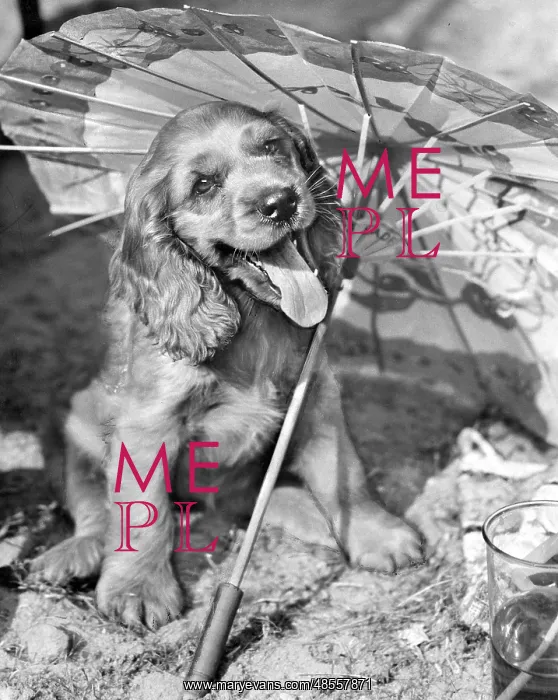 : Susi - posing with a parasol : Susi - posing with a parasol