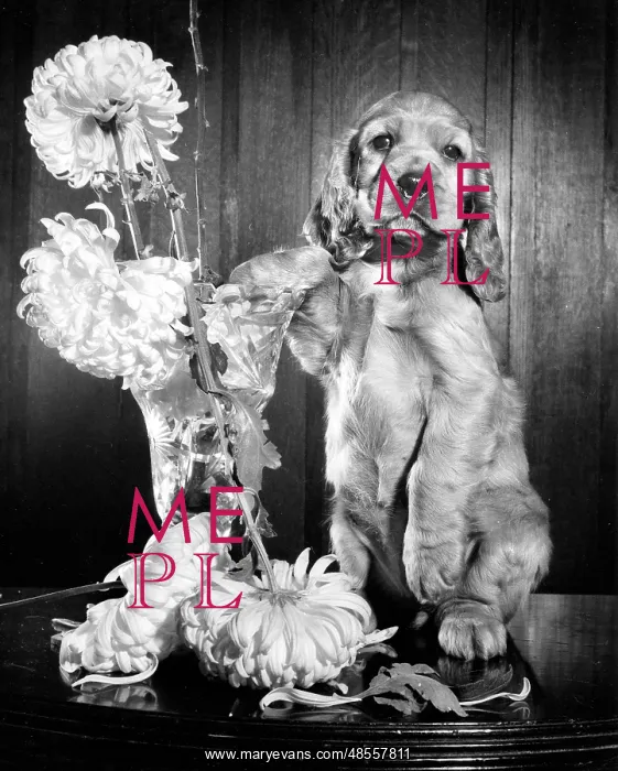 : Susi - with a rearranged vase of flowers : Susi - with a rearranged vase of flowers