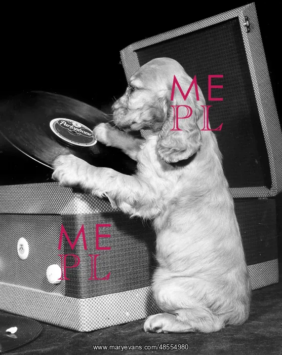  : Susi - with record player