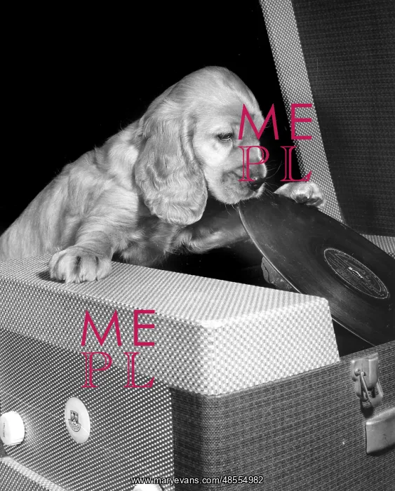 : Susi - with record player : Susi - with record player