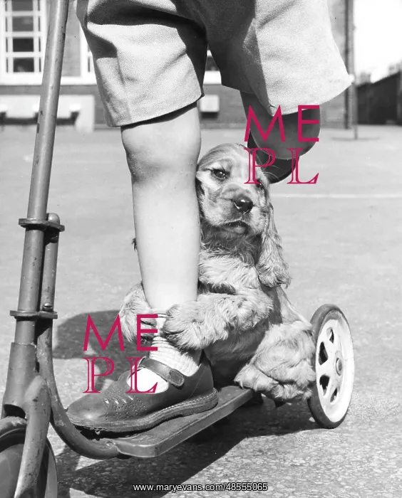  : Susi - riding on a scooter