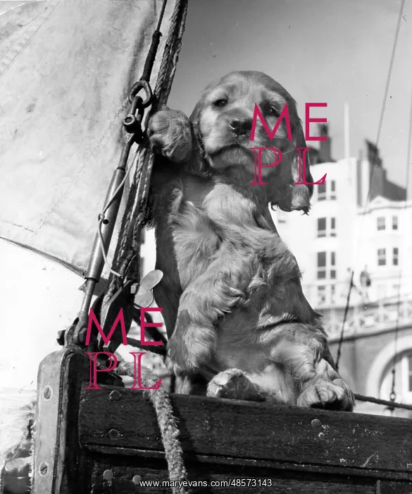 : Susi - on a sailing boat