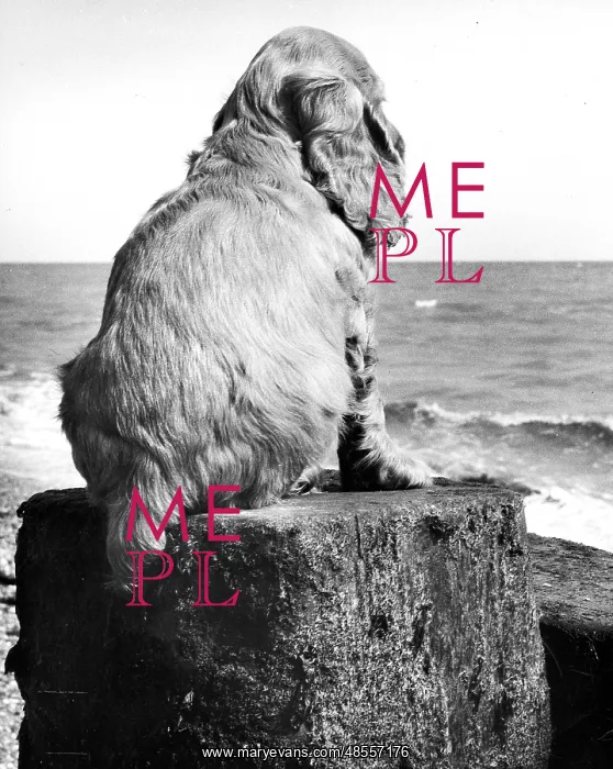  : Susi - at the seaside